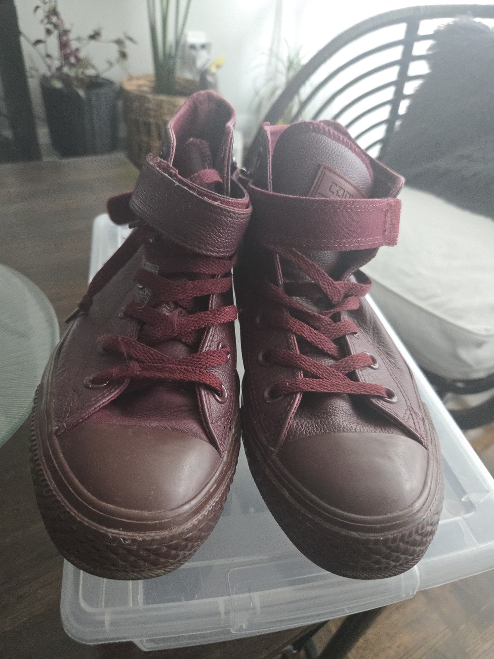 Converse High-Top Sneakers in Burgundy